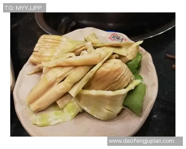 深度对话周磊篮球人生的启示与成长之路探讨